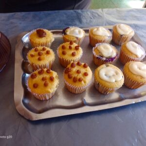 Cupcakes variados X 6 unidades